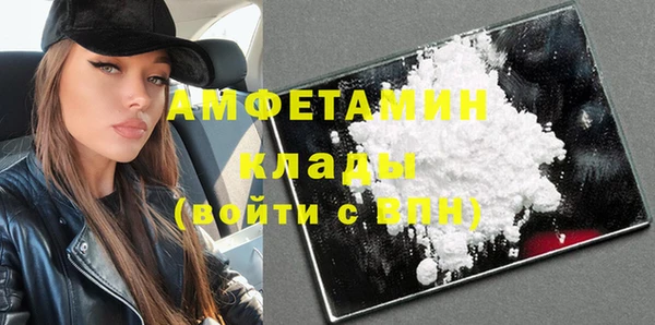 молекула духа Вяземский