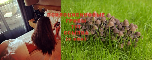 спайс Дмитров