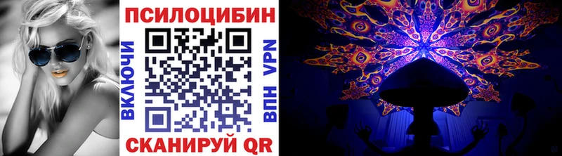 купить наркоту  Клинцы  Псилоцибиновые грибы прущие грибы 