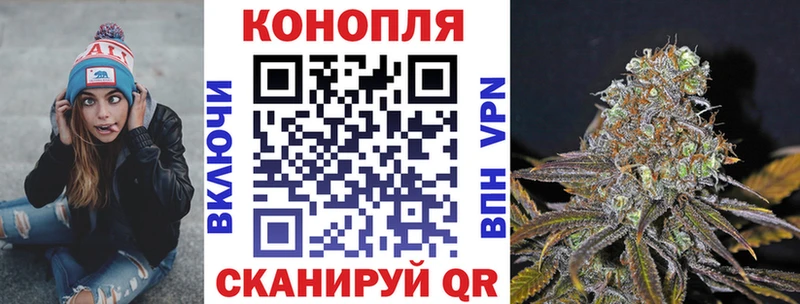 мориарти официальный сайт блэк спрут ссылки Клинцы Конопля ГИДРОПОН
